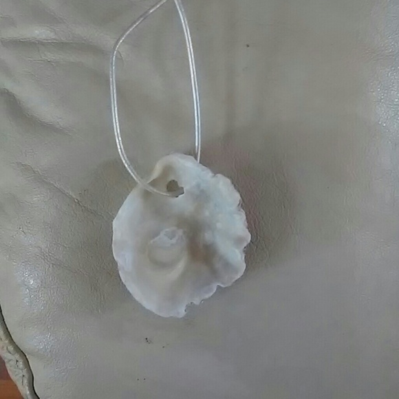 Atlantic Ocean shell necklace - Picture 3 of 3